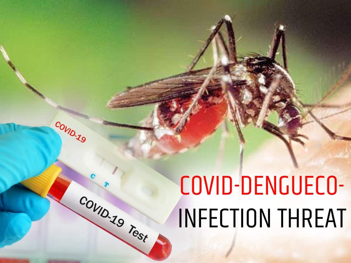 Dengue And COVID-19: What Happens When You Catch Both At The Same Time?